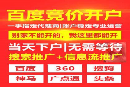 某品牌sem竞价托管代运营的精彩瞬间